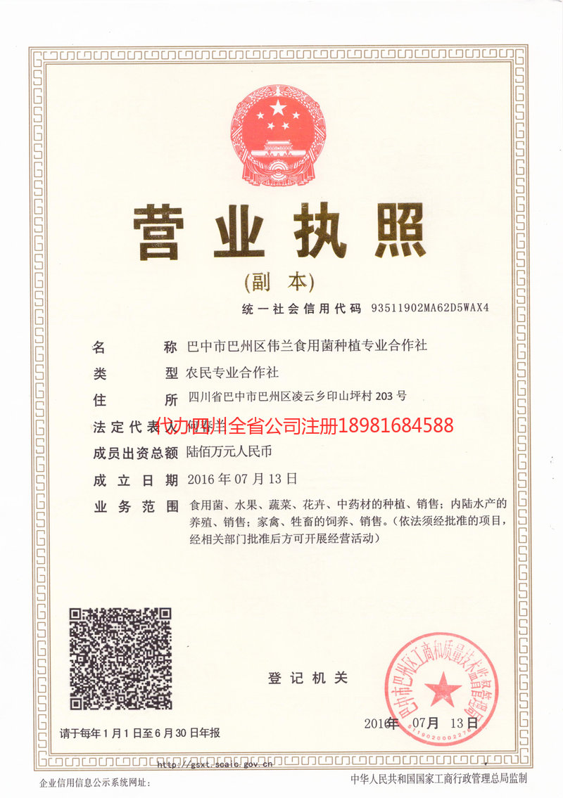 北镇北镇伟兰食用菌种植专业合作社